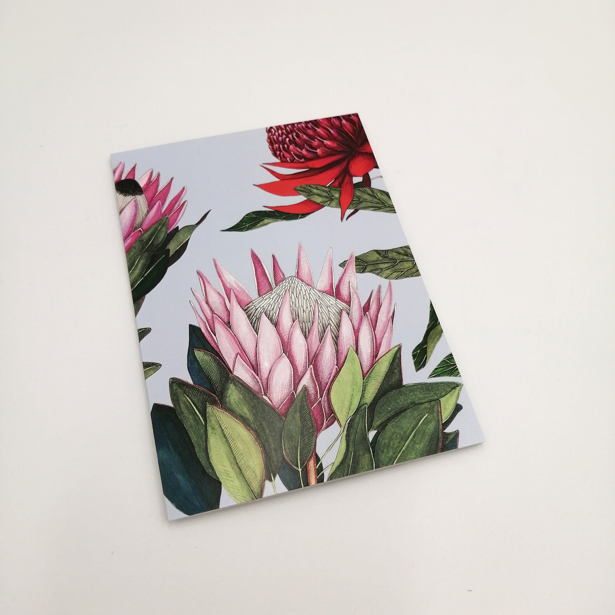 Pastel King Protea A6 greeting card