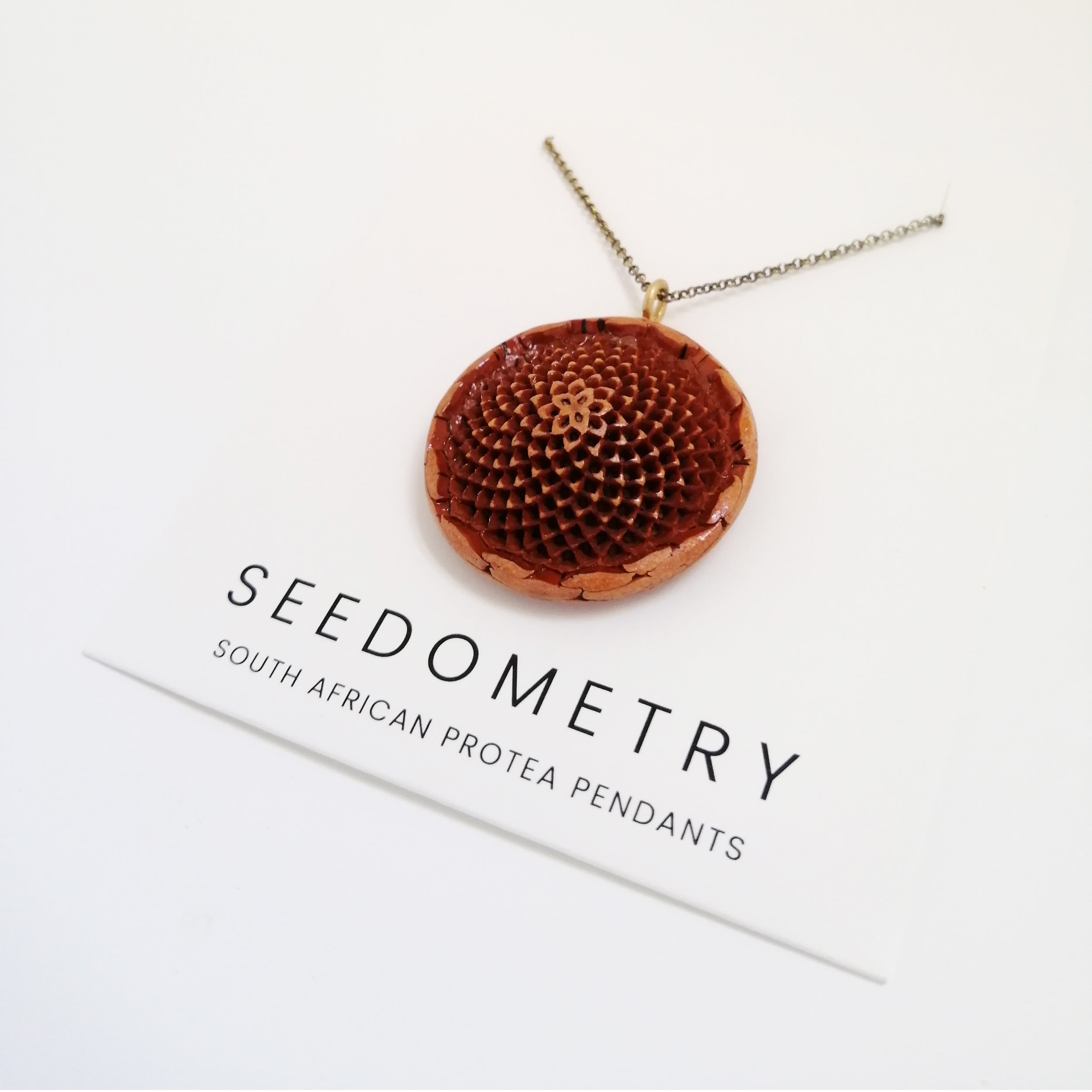 protea seed necklace