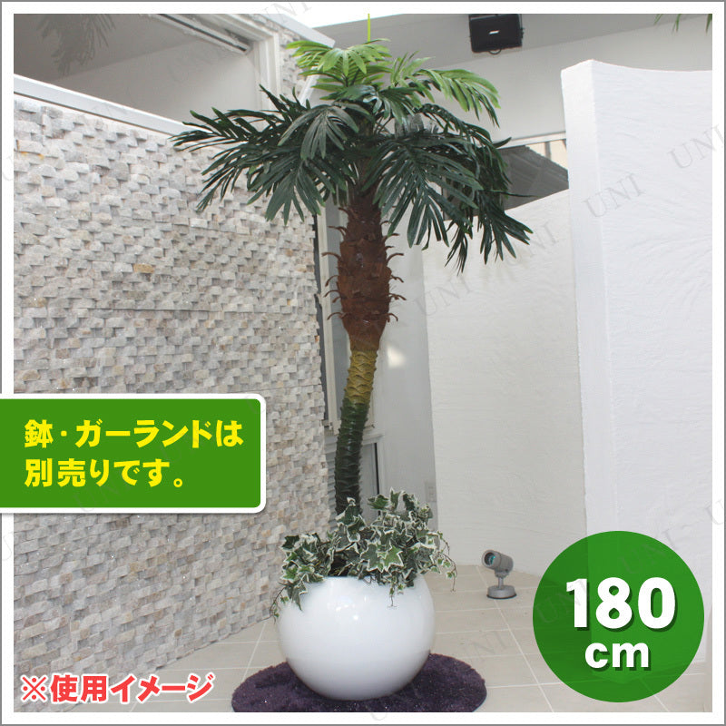 人工観葉植物 光触媒 パームヤシ 180cm ヤシの木 椰子 フェイクグリーン インテリアグリーン 消臭 抗菌 サプライズワールド