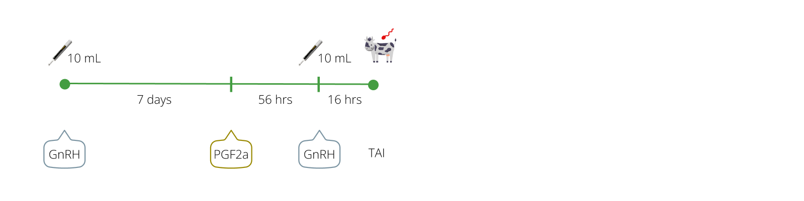Healthy Cow ProPreg™ instruction diagram for 'OvSynch with Timed-AI' option