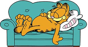 Garfield on the couch