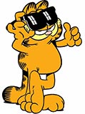 Garfield trägt eine Sonnenbrille