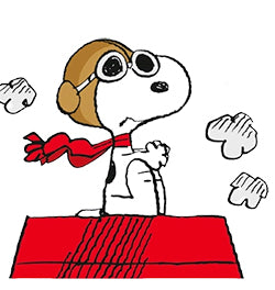 Snoopy War Flying Ace