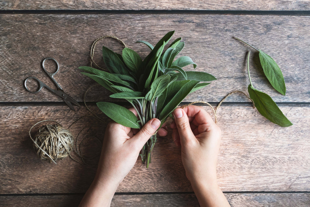 making a bundle of sage leaves for drying
