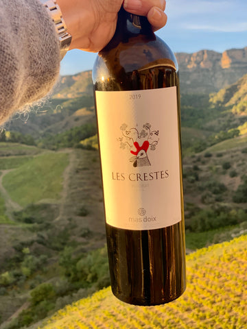 Vinho tinto espanhol da região de Priorat Les Crestes