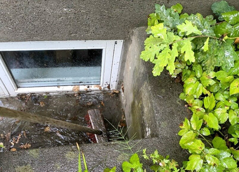 A photo of an egress window with a window well that contains debris and water build up.