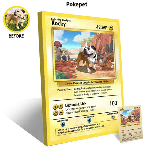 POKEPET-MOCKUP-FINAL-1_312efcbd-0516-48a4-8eb3-e1b7784d1b63_2000x.jpg__PID:00a2e8d3-7943-4963-b20e-199e96a6aaab