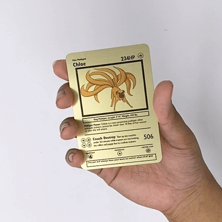 Cartes de paiement Slice un