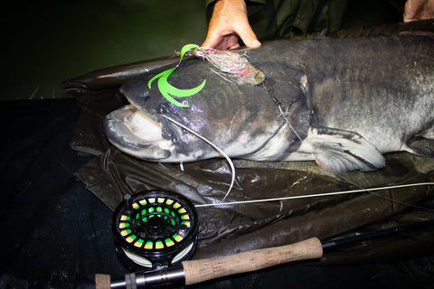Turrall Top Tips: Catfish of the Fly - Welcome to The Dark Side