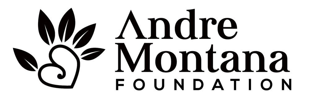 Andre Montana Foundation