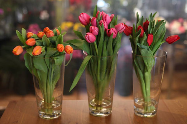 Product Of The Week Cute Flower Vases To House Your Favorite Plant