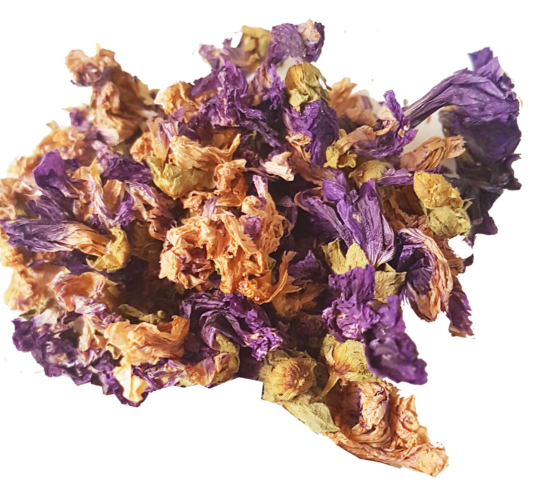 Mauve Fleur- Malva Flower- Plantes Séchées- 30g – Thé Amo infusions sauvages