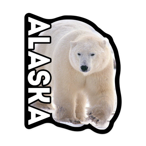 Vinyl Black and White Alaska Bag — Polar Bear Gifts