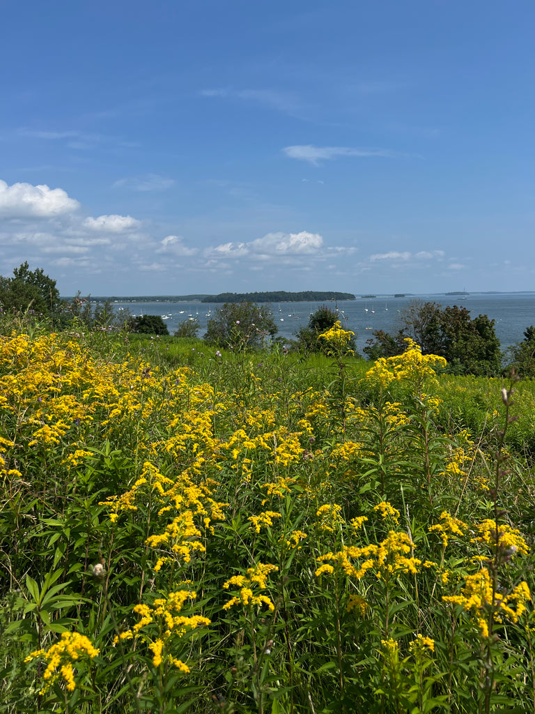 Fort Allen Park