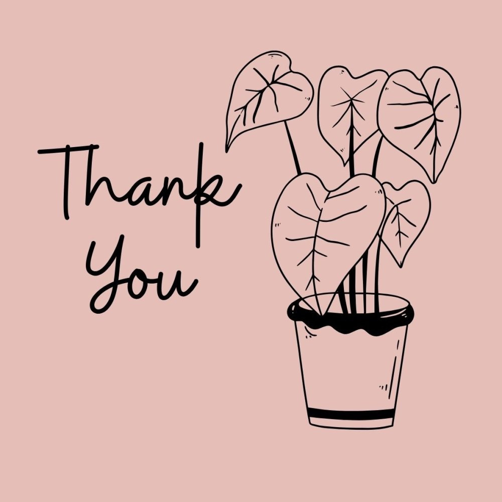Thank You Post Card - Same Day Plant Delivery Melbourne 