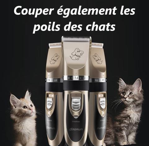 tondeuse chien et chat