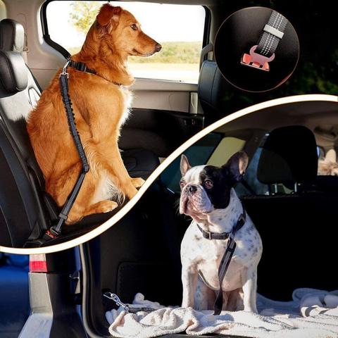 QUETO Nylon Ceinture Chien, Universel Harnais Voiture Réglable