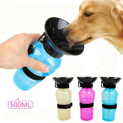 Bouteille gourde portable chien & chat
