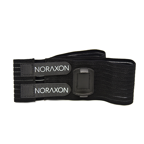 ninox noraxon