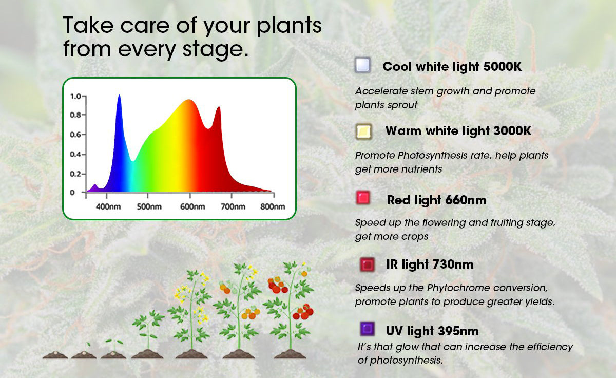 Full Spectrum Reading