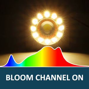 BLOOM-CHANNEL-ON