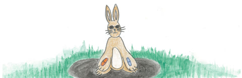 Orange Pill Truth Bunny