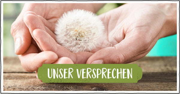 Unser Versprechen