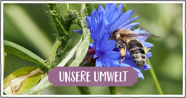 Unsere Umwelt