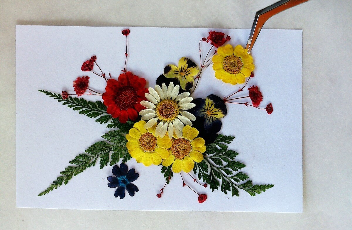 Gepresste Blumen für einen Bilderrahmen vorbereiten
