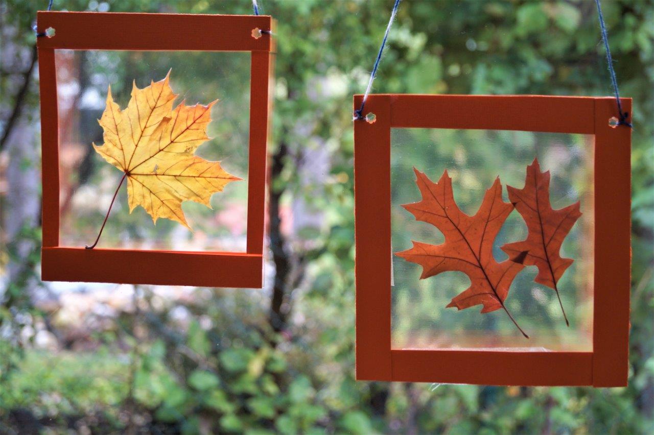 Ein Fensterbild mit gepressten Blättern gestalten