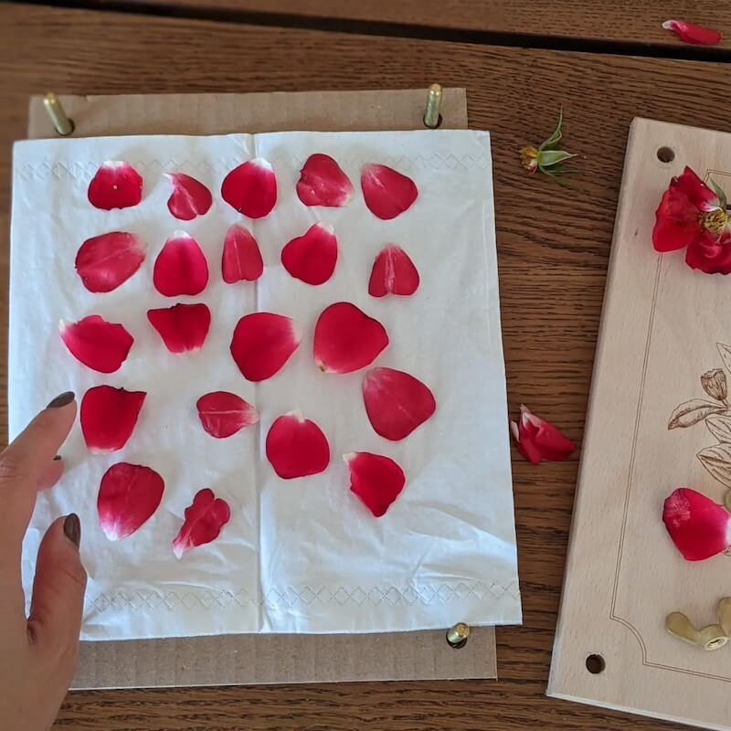 Rosenblätter zum Trocknen auf einem Papier, neben einem hölzernen Objekt auf einem Tisch.