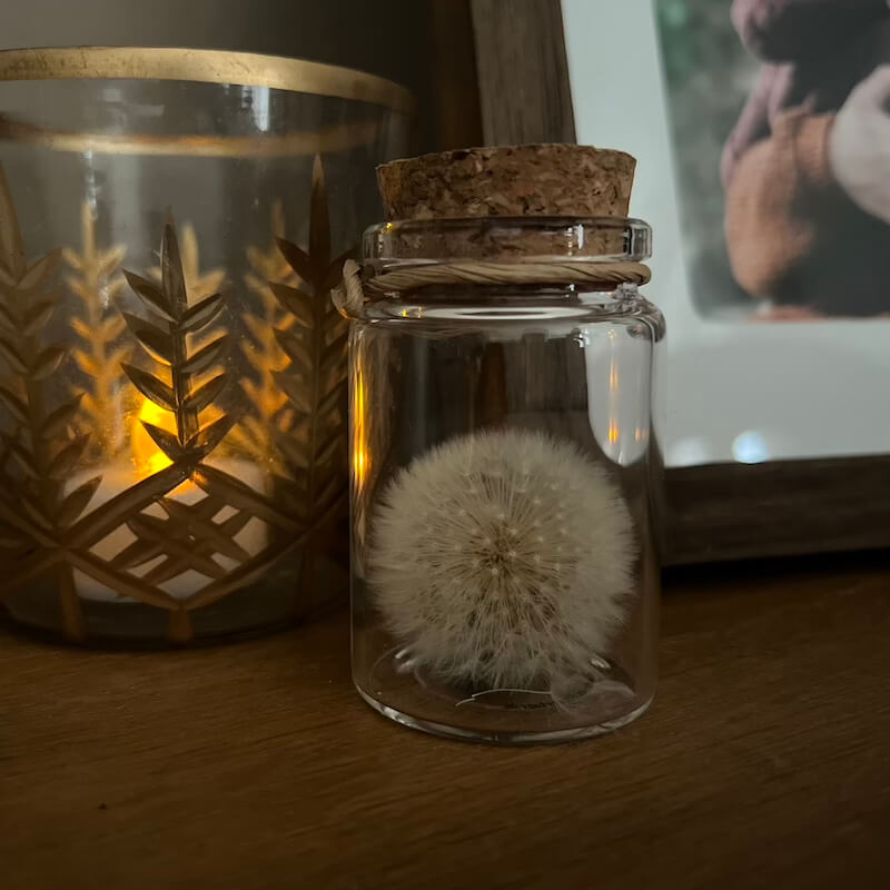 Löwenzahnblüte in einem kleinen Glasgefäß mit Korken auf einem Holztisch.