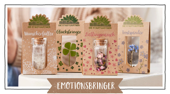 Emotionsbringer Geschenkideen mit Wunscherfüller, Glücksbringer und Liebe-im-Glück Pflanzensets in Verpackung.