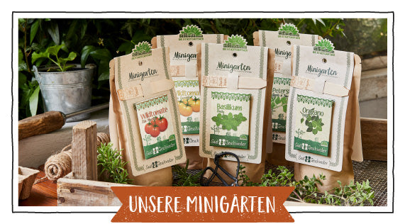 Unsere Minigärten mit verschiedenen Kräutersamen wie Wildtomate, Basilikum und Petersilie, präsentiert auf einem rustikalen Gartentisch.