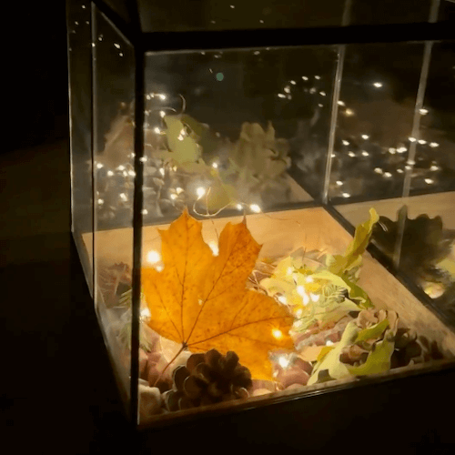 Beleuchtetes Glasgefäß mit Herbstblättern, Kiefernzapfen und Lichterkette bei Nacht.