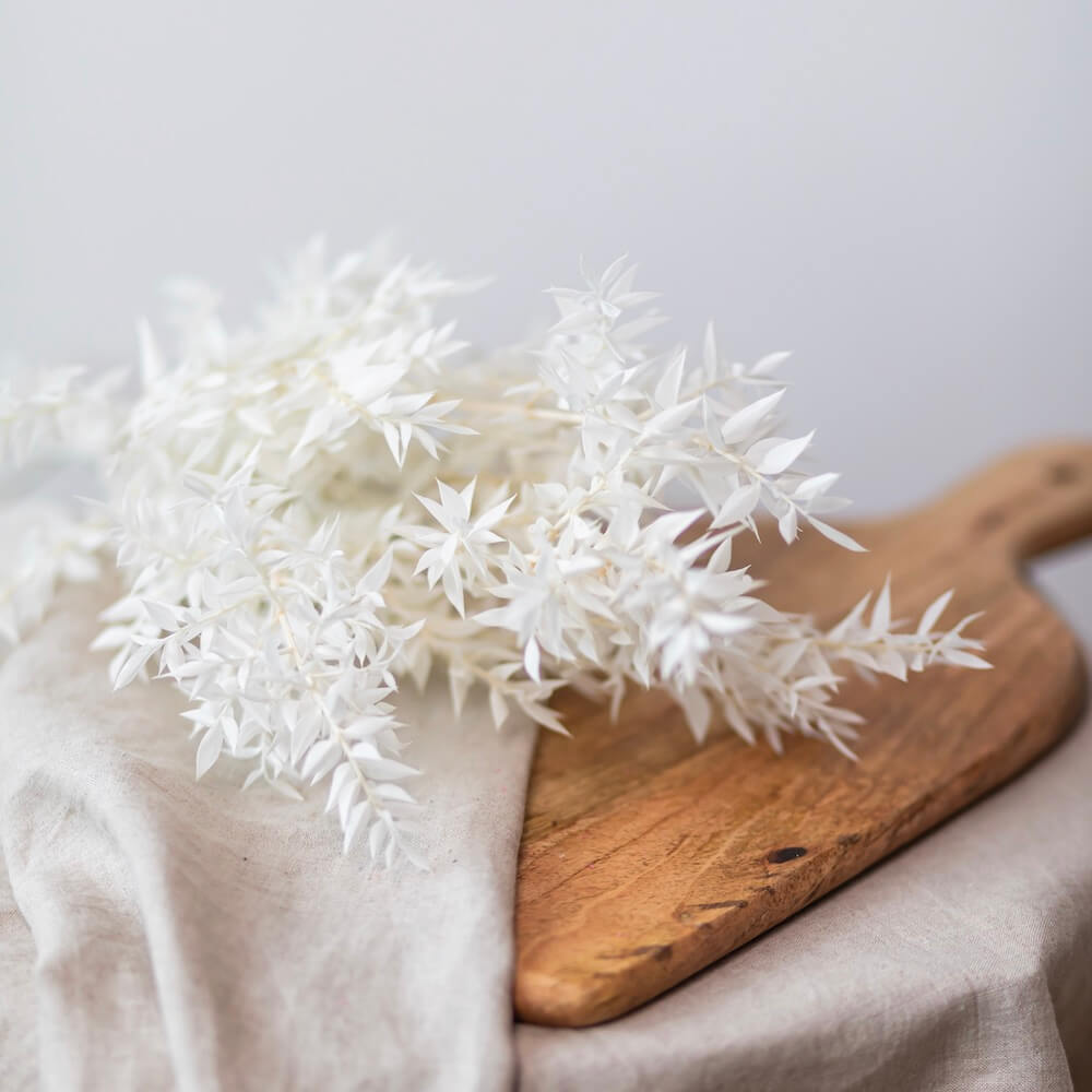 Ruscus blanc - DIY fleurs séchées | Flowrette