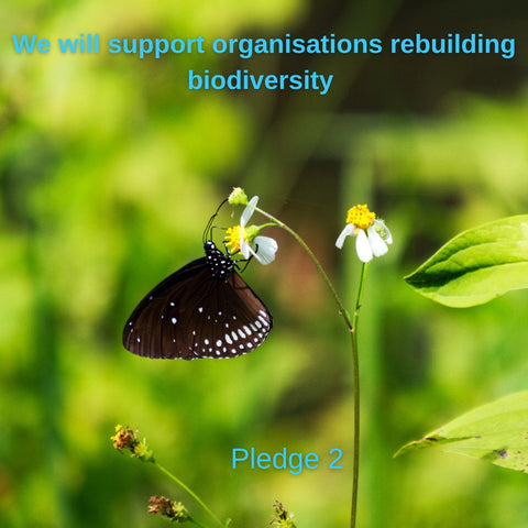 Supporting biodiversity to make our pet food kinder to the planet