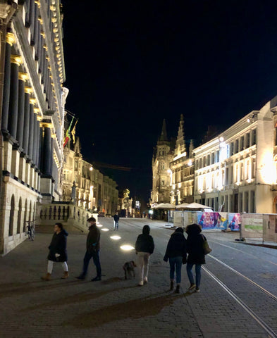 A night time dog walk in Ghent on a family holiday with our pet
