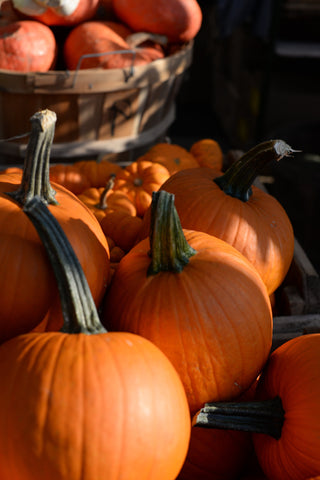 Pumpkins added to our dog food for Vitamin A, carotenoids & lutein to aid vision and skin health