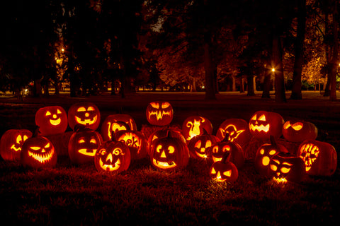 Halloween pumpkins lit up, but also a useful ingredient in healthy dog food
