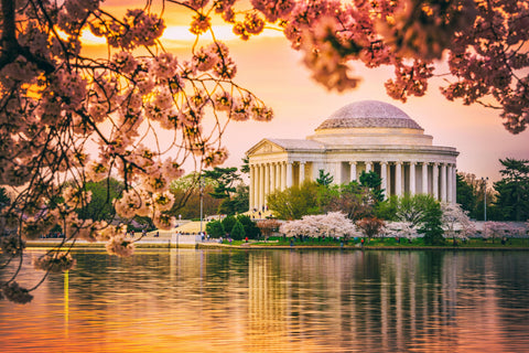 Washington Your National Capital Canvas Print