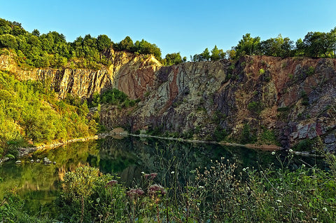 Former Quarry rewilding