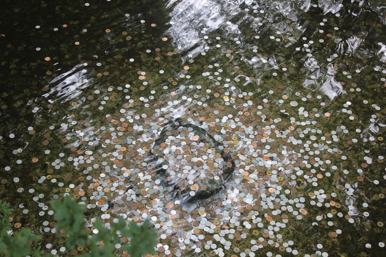 pennies in water