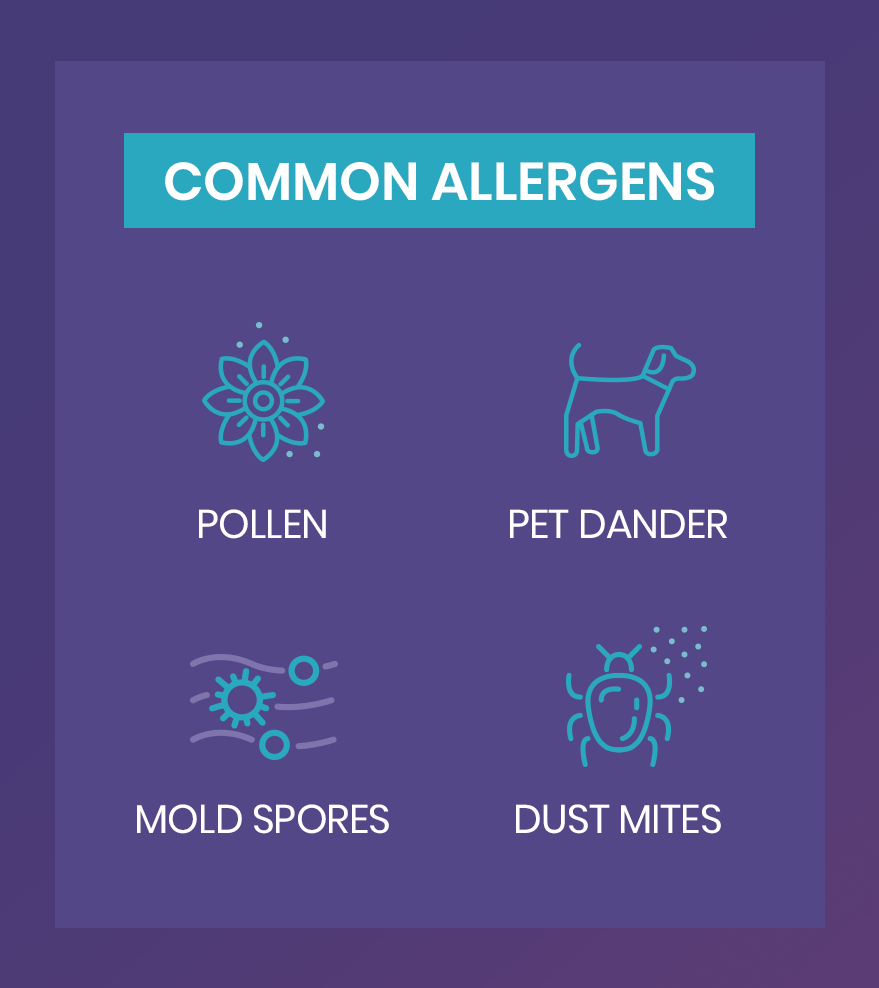 Commen Allergens