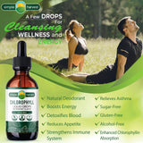 Chlorophyll Liquid Drops | Digestion Immunity Support Cleanse and Energy | All Natural Organic, Vegan, Non-GMO and Made in The USA