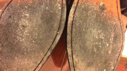 Leather Shoe Sole Mold in Humidity