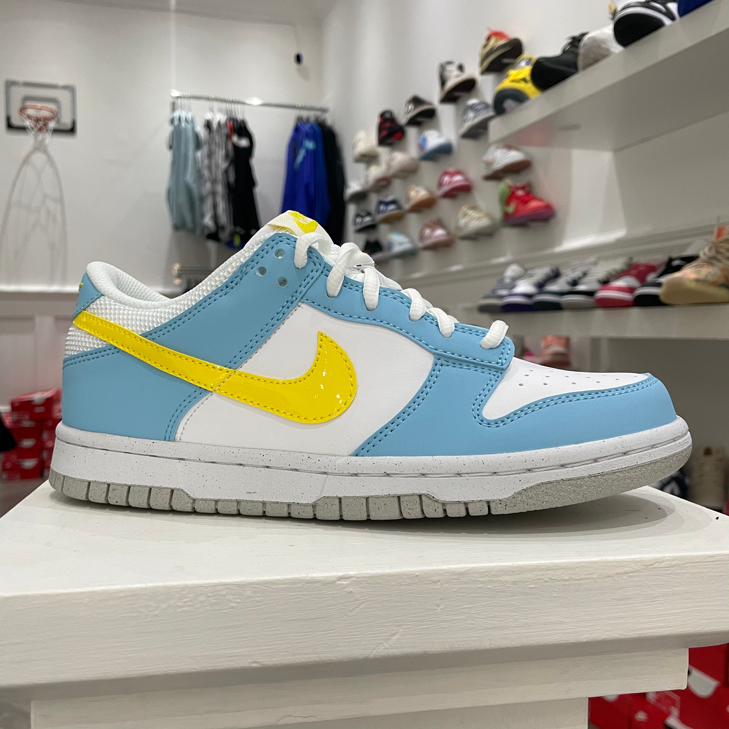 Dunk Blue Chill