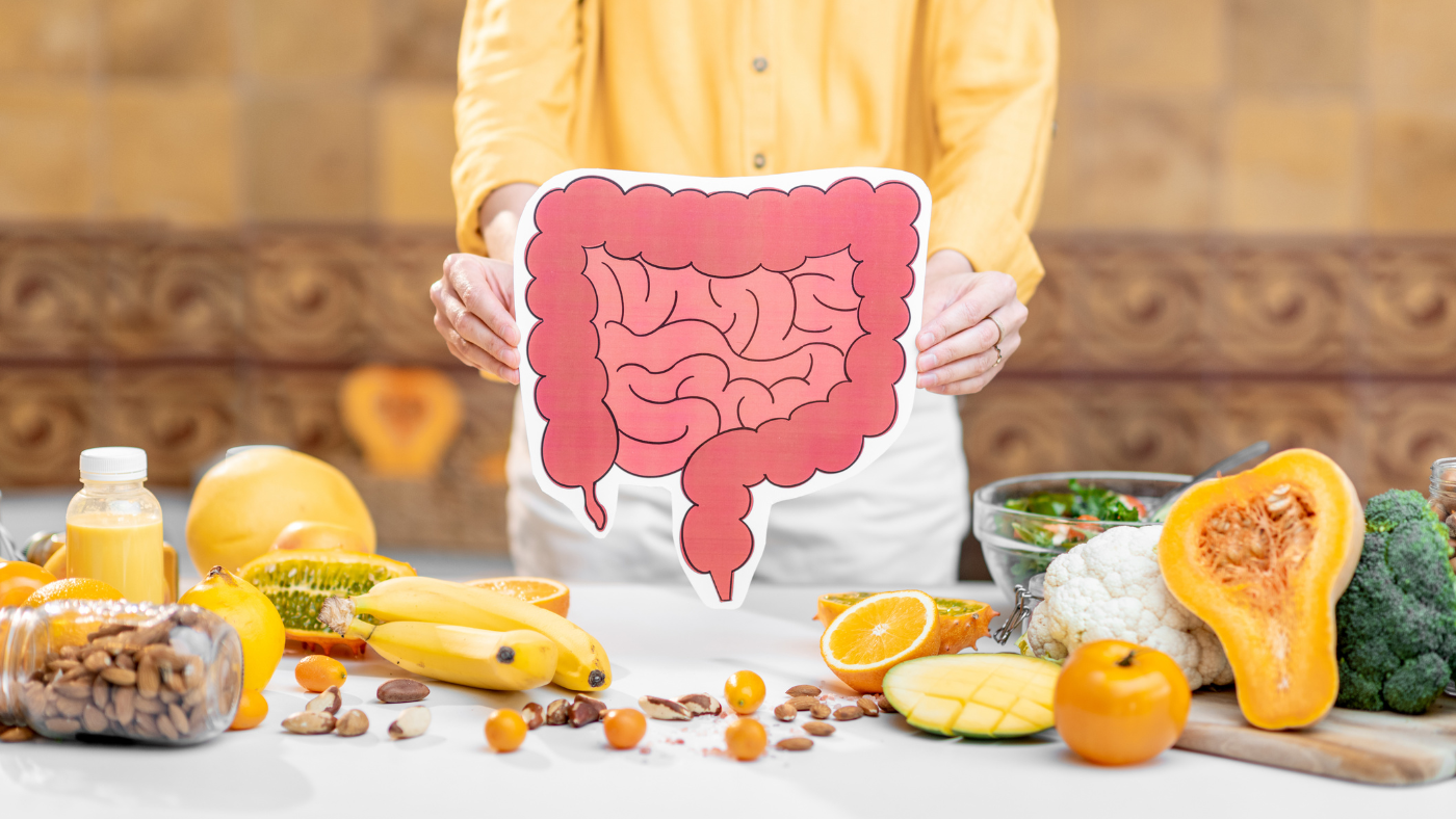 Digestive Support Stock Image.png__PID:6aafd726-3f2c-4ea1-a014-5ade447325ea