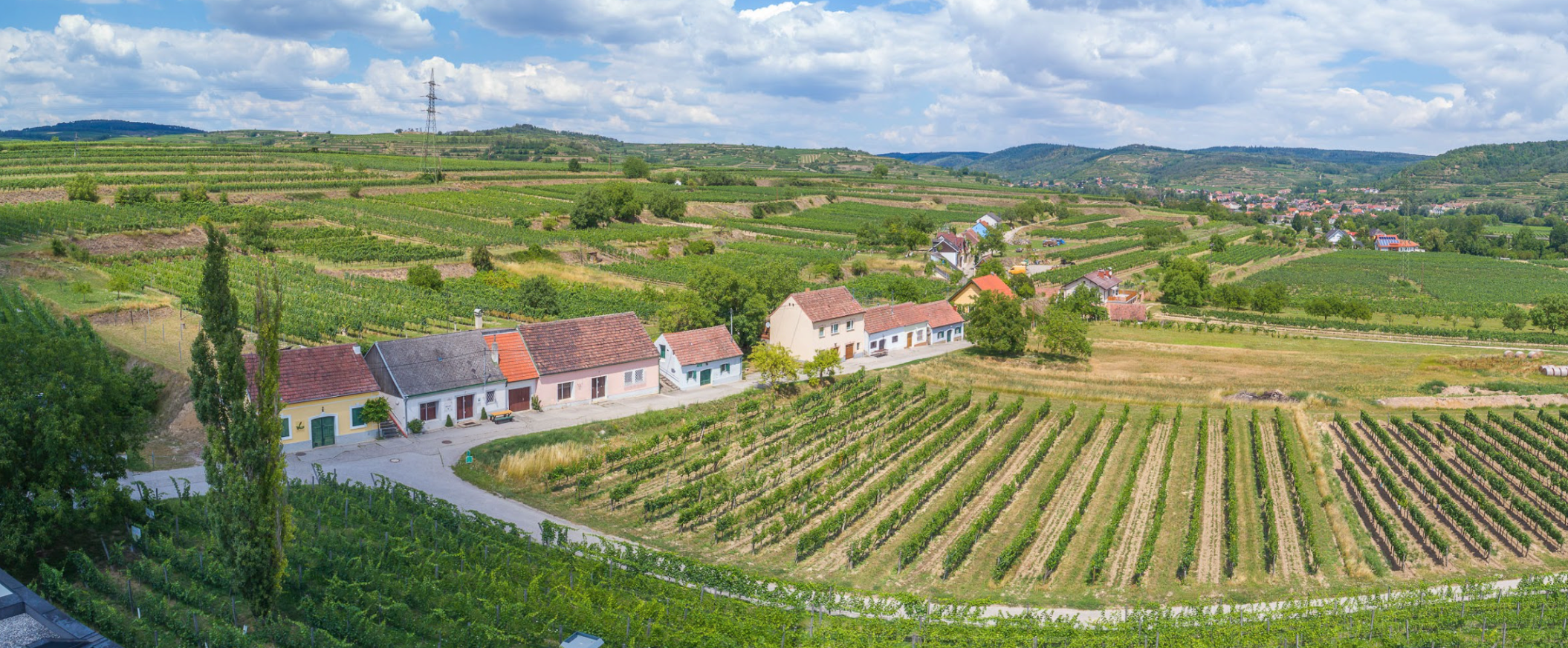 Weingut Eder und Wolf