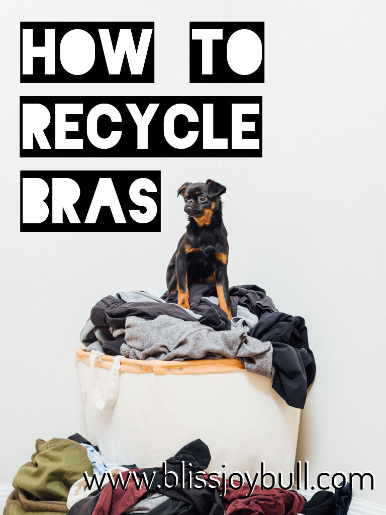 How to Recycle Clothing: Bras – BLISS JOY BULL